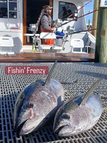 Oregon Inlet Fishing Center, Solid Sunday Fishing