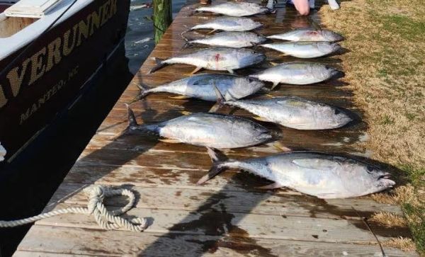 Waverunner Fishing Charters, Dates are Filling Up