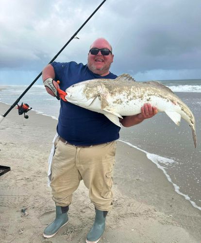 Tradewinds Tackle Shop, Huge Citation Red Drum
