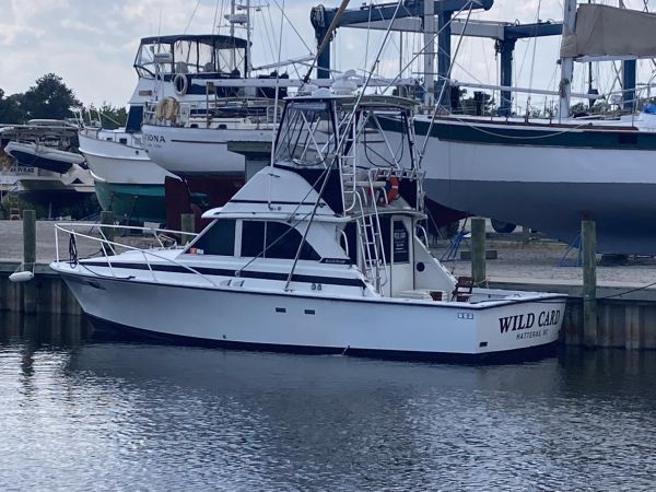 Wild Card Sportfishing Charters, Floating Again