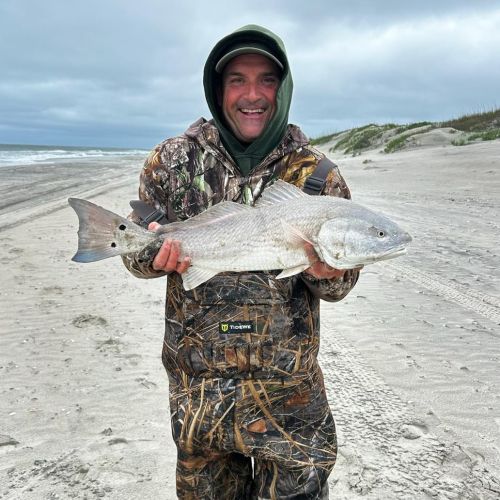 Tradewinds Tackle Shop, Red Drum Action