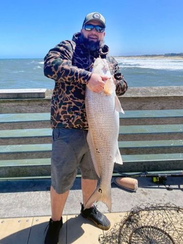 Jennette's Pier, Drum Bite