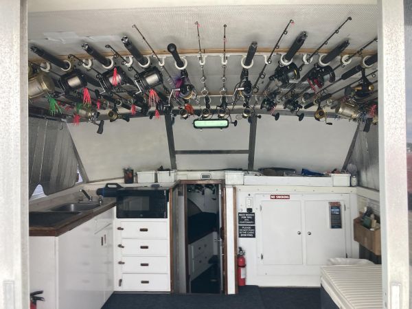 Wild Card Sportfishing Charters, We're all put back together