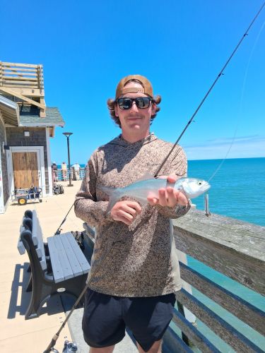 Jennette's Pier, Gotcha!
