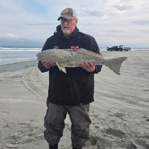 Tradewinds Tackle Shop, Rainy Weather Fishing