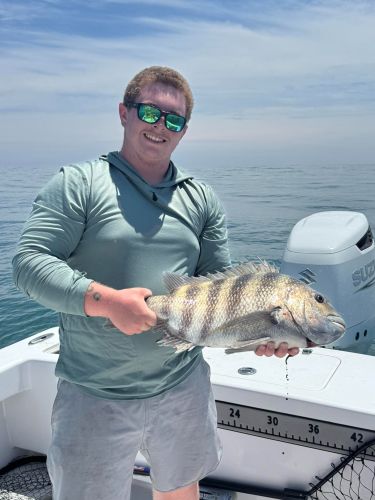 Red Drum Tackle Shop, Sheepshead on Mother's Day