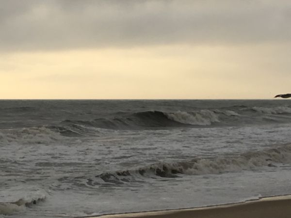 Outer Banks Boarding Company, OBBC Tuesday August 27th