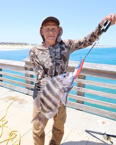 Jennette's Pier, Blues and Sheepshead