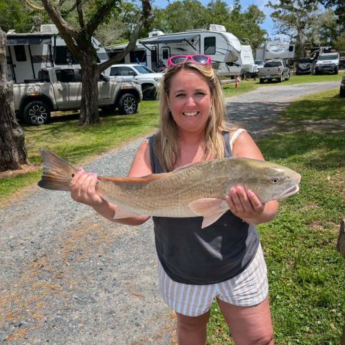 Tradewinds Tackle Shop, Slot Red Drum