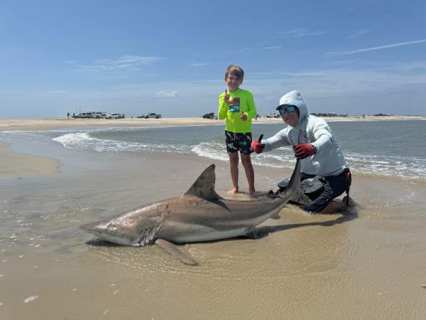 Red Drum Tackle Shop, Shark at the Point