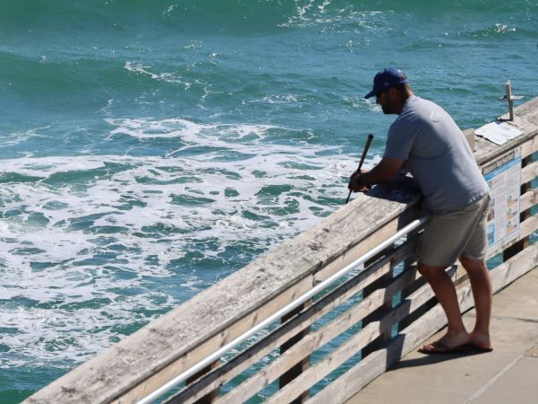 Jennette's Pier, Blues, Spanish Mackerel and Cobia
