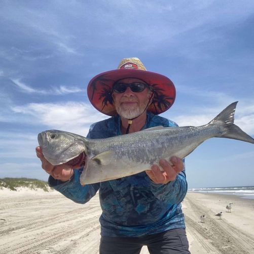 Tradewinds Tackle Shop, Nice Bluefish on Ramp 67