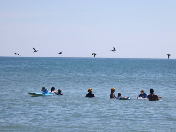 Jennette's Pier, Bluefish and Spanish Mackerel