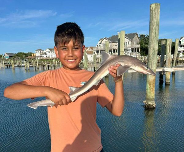 Tradewinds Tackle Shop, Dogfish in Silver Lake Harbor