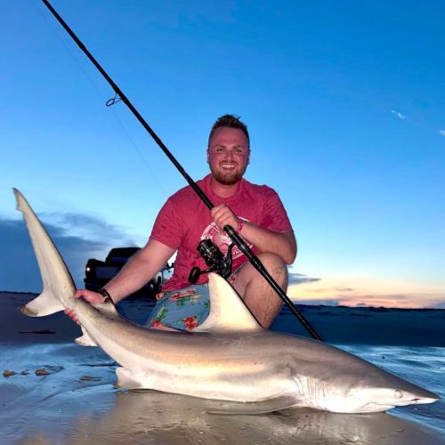 Tradewinds Tackle Shop, Beautiful Shark off Ramp 73