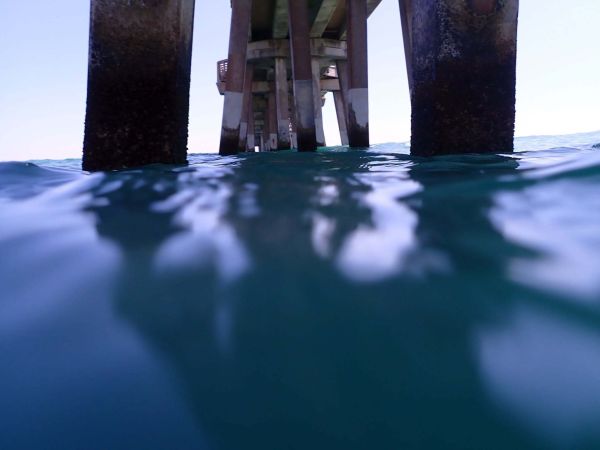 Jennette's Pier, Bluefish, Croaker & Speckled Trout