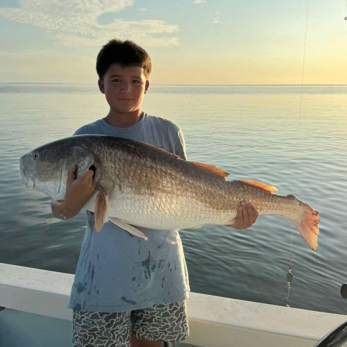 Tradewinds Tackle Shop, Beautiful Red Drum