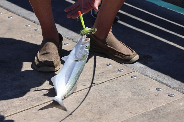 Jennette's Pier, Great Day for Fishing