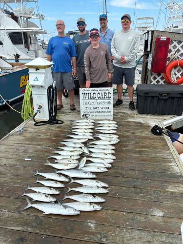 Wild Card Sportfishing Charters, Tiger Blues & A Rough Inlet Bar