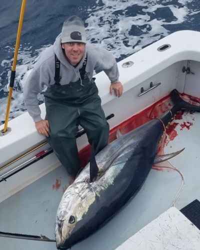Oceans East Bait & Tackle Nags Head, Bluefin Biting Out of Oregon Inlet