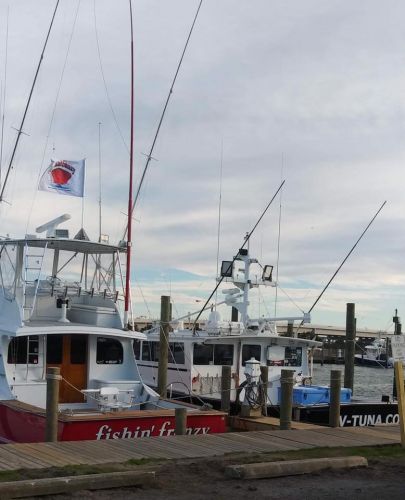 Oceans East Bait & Tackle Nags Head, Boat hoping to chase Bluefin tomorrow