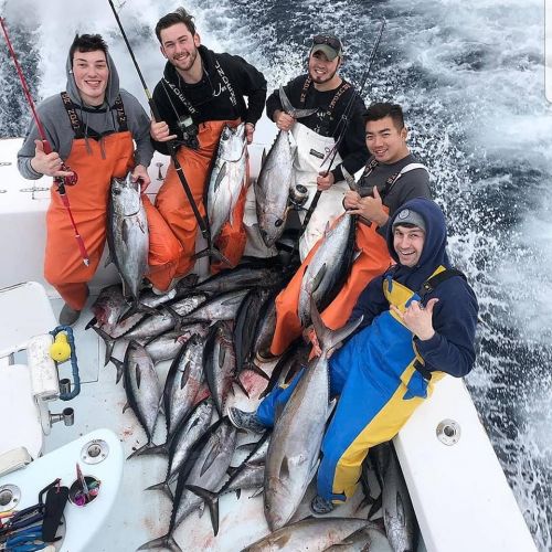 Oceans East Bait & Tackle Nags Head, Blackfin at Hatteras!