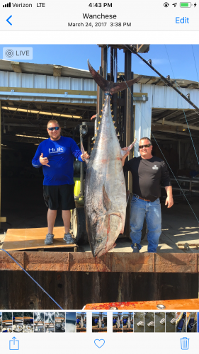 Carolina Girl Sportfishing Charters Outer Banks, Giants are Biting!