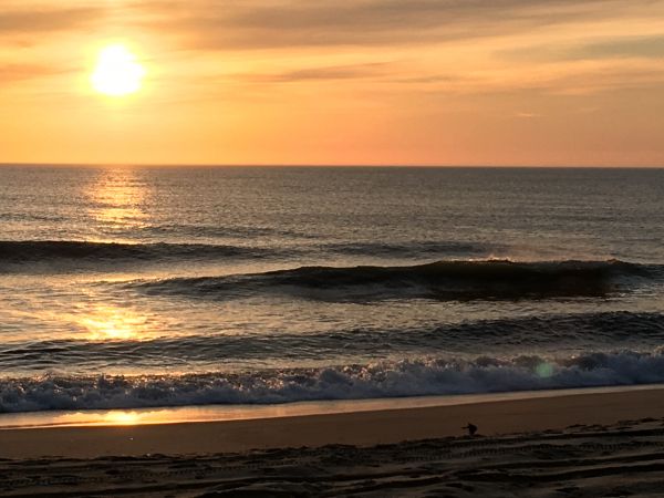 Outer Banks Boarding Company, OBBC Morning Surf Report