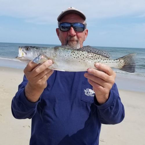 Oceans East Bait & Tackle Nags Head, 18in Trout today