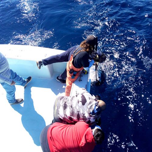 Tuna Duck Sportfishing, 90 Pound Class Bluefin Tuna