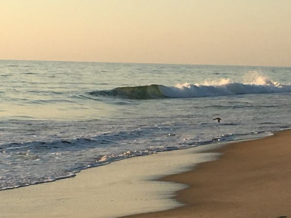 Outer Banks Boarding Company, OBBC Monday August 12th