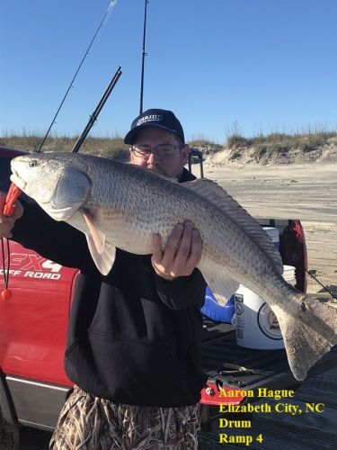 TW’s Bait & Tackle, Daily Fishing Report