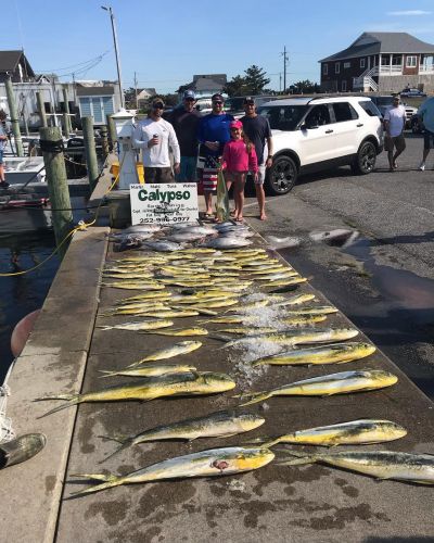 Calypso Sportfishing Charters, Excellent fishing!