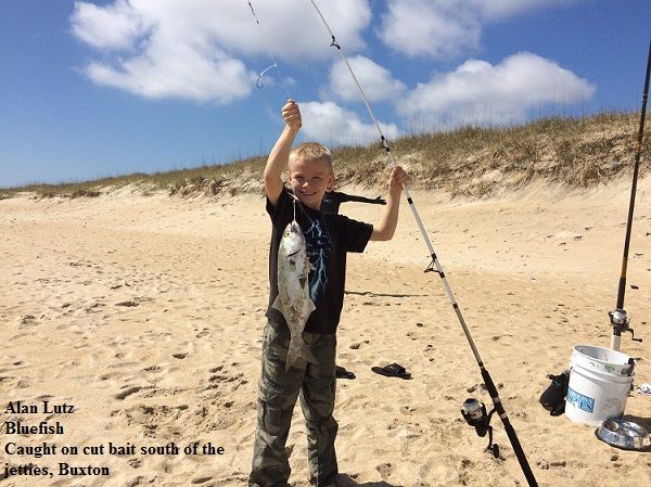 TW’s Bait & Tackle, Daily Fishing Report