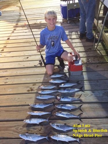 TW’s Bait & Tackle, Daily Fishing Report