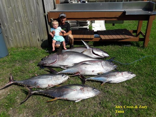 TW’s Bait & Tackle, Daily Fishing Report