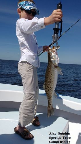 TW’s Bait & Tackle, Daily Fishing Report