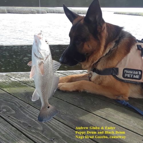 TW’s Bait & Tackle, Daily Fishing Report