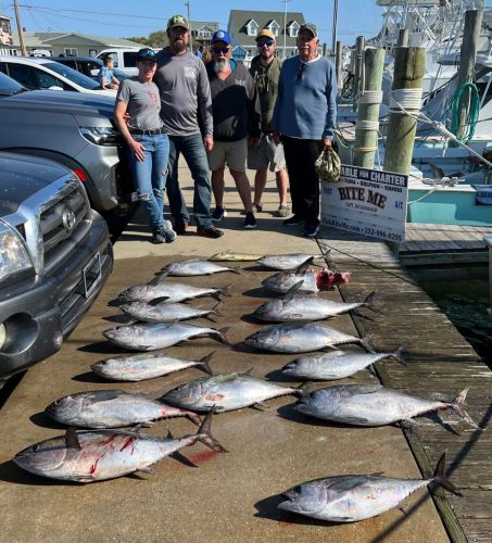 Bite Me Sportfishing Charters, Tuna and more tuna with a bonus dolphin