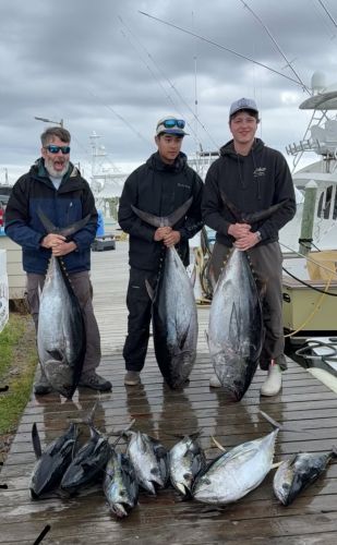 Wanchese Marina, Beautiful Catches