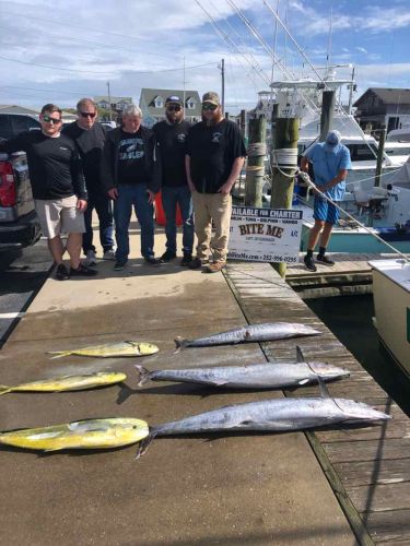 Bite Me Sportfishing Charters, Wahoos and Dolphins to the south