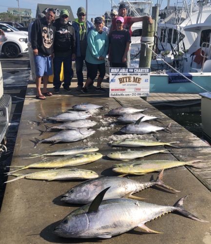 Bite Me Sportfishing Charters, Tunas and dolphins