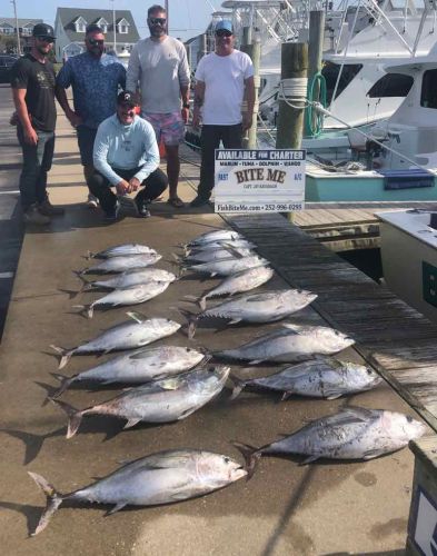 Bite Me Sportfishing Charters, Blackfin tuna on a slick calm day