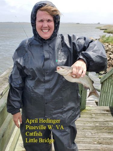 TW’s Bait & Tackle, TW's Daily Fishing Report