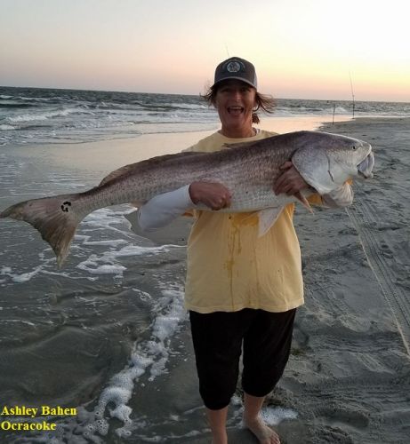 TW’s Bait & Tackle, Daily Fishing Report