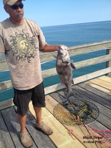 TW’s Bait & Tackle, Daily Fishing Report