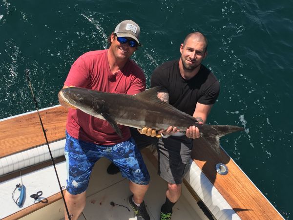 Carolina Girl Sportfishing Charters Outer Banks, Inshore fishing going off