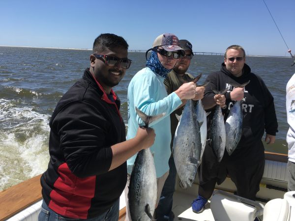 Carolina Girl Sportfishing Charters Outer Banks, Fish are Here !