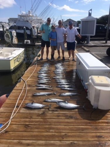 Pirate's Cove Marina, Holy Mackerel!