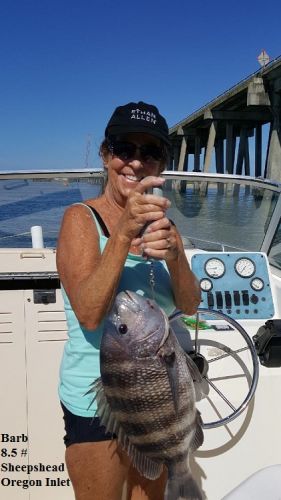TW’s Bait & Tackle, Daily Fishing Report
